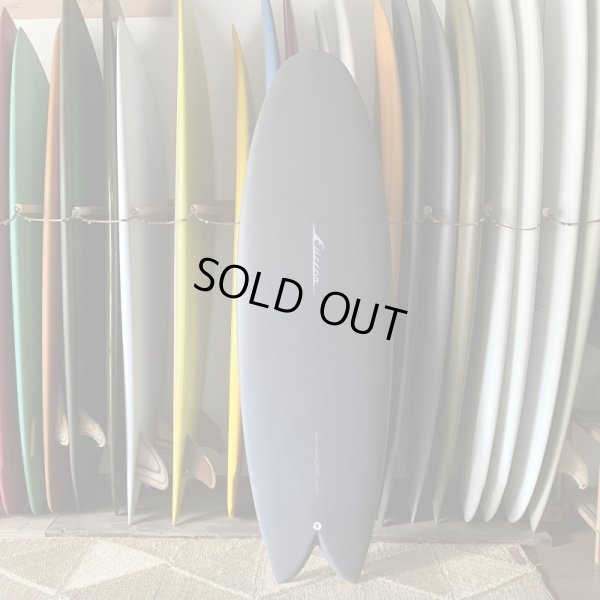 画像1: 【Ellis Ericson Surfboards】Lite Kite 5’9”