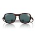 画像1: 【OMBRAZ】TETON/tortoise/polarized grey (1)