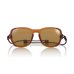 画像1: 【OMBRAZ】TETON/HONEY/Polarized Yellow (1)