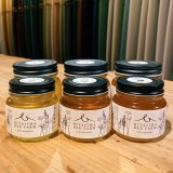 【BIYAJIMA BEE FARM】北信州 完熟生はちみつ 160g