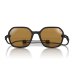 画像1: 【OMBRAZ】Cammina/Charcoal/polarized yellow (1)