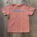 画像1: 【Ellis Ericson Surfboards】T-shirt /Pink (1)