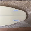 画像12: 【Neal Purchase Jnr/ニールパーチェスジュニア】Diamond Tail Twin6’4”