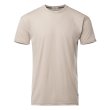 画像1: 【ACLIMA】LIGHTWOOL 180 CLASSIC TEE/Simply Taupe