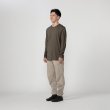 画像1: 【ACLIMA】LIGHTWOOL 180 CREW NECK/Simply Taupe