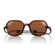 画像1: 【OMBRAZ】Cammina/Tortoise/polarized brown