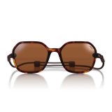 画像: 【OMBRAZ】Cammina/Tortoise/polarized brown