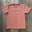 画像3: 【Ellis Ericson Surfboards】T-shirt /Pink